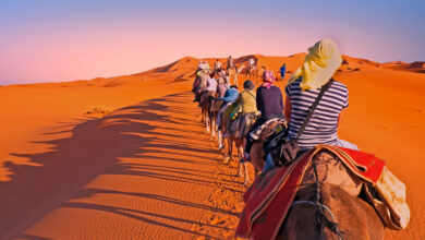 زيارة الصحراء المغربية