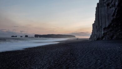 رينيسفجارا