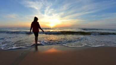 جزيرة لازاروس