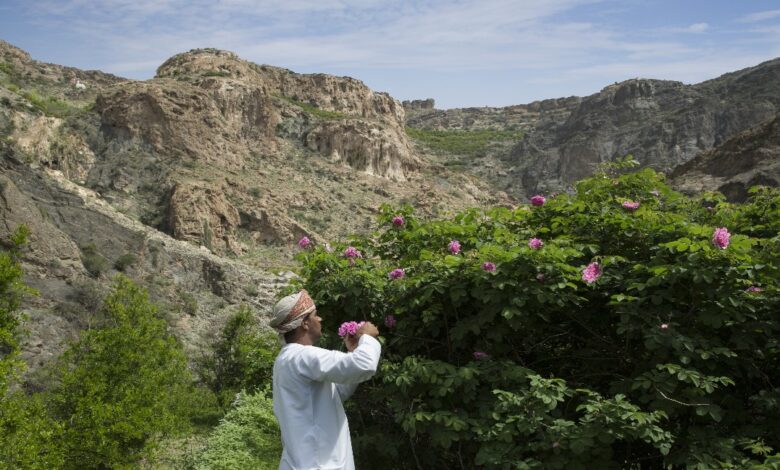 الجبل الأخضر