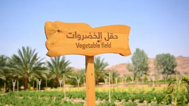 خيرات العلا