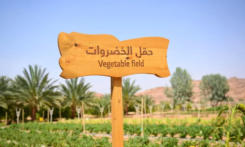 خيرات العلا