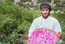 موسم الورد
