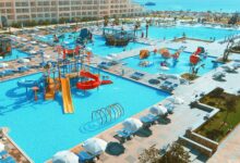 بيك الباتروس