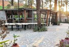 مزارع القصيم الريفية