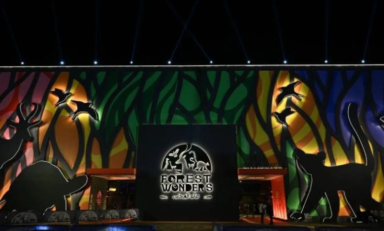 غابة العجائب