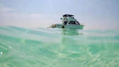 جزيرة بياضة السعودية