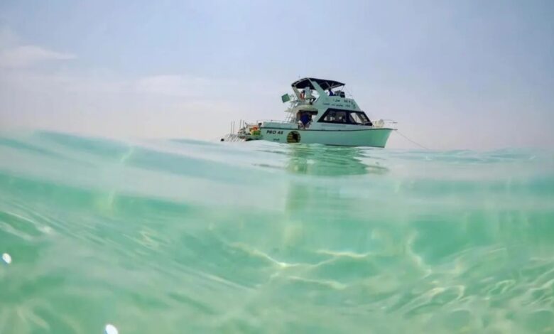 جزيرة بياضة السعودية