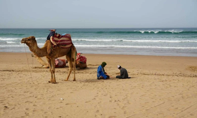 شواطئ المغرب
