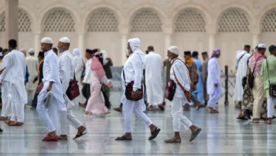 المدينة المنورة