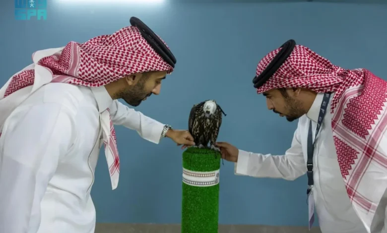 صقاري العالم