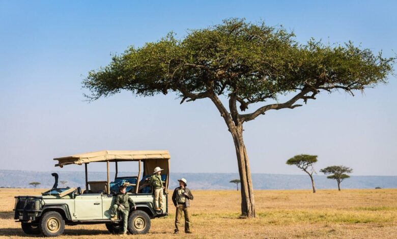 رحلات السفاري