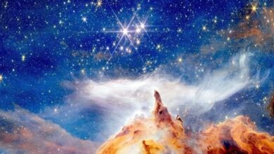 ولادة النجوم في العقرب