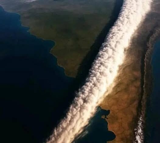 الشريط الأبيض