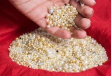 اللؤلؤ الطبيعي