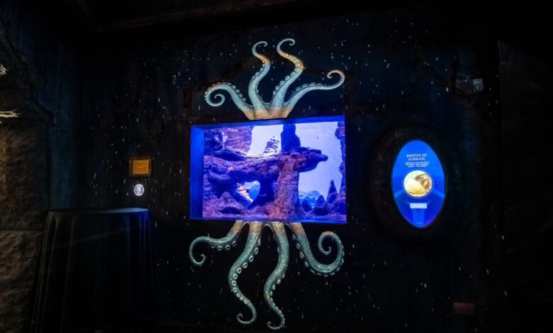 أتلانتس دبي