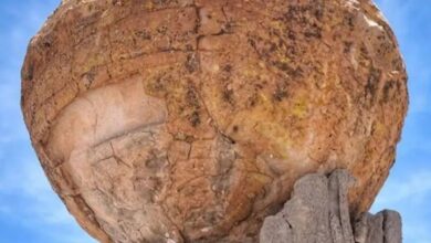 بيدرا دي لا كوبا ديل موندو