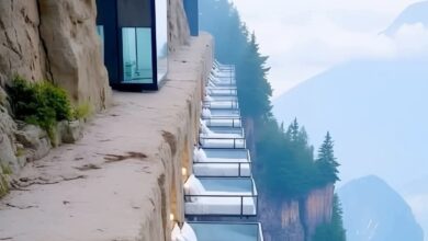 فندق السرير الزجاجي