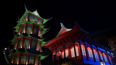 أجنحة الصين