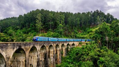 رحلة قطار من كولومبو وسط الجبال