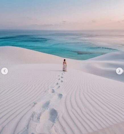 سقطرى اليمنية