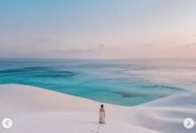 سقطرى اليمنية