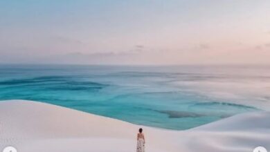 سقطرى اليمنية