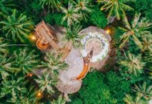 سونيفا فوشي