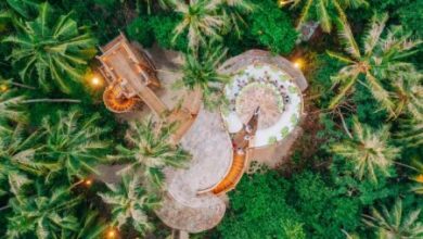 سونيفا فوشي