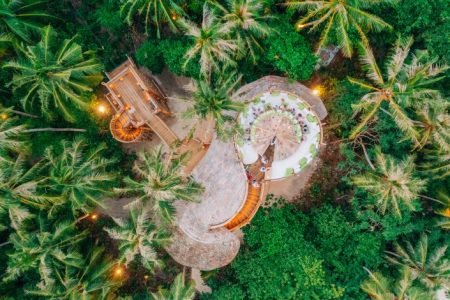 سونيفا فوشي