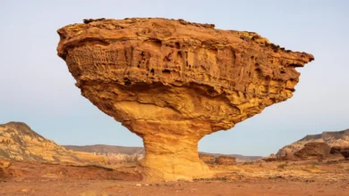 الموائد الصخرية