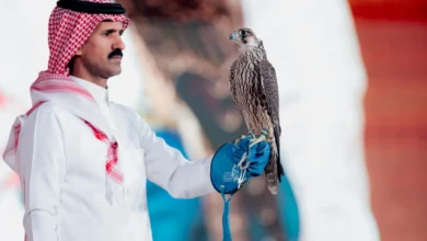 مزاد الصقور