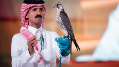 شاهين فرخ طرح الجبيل