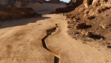 فنون العُلا