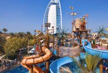 حديقة وايلد وادي