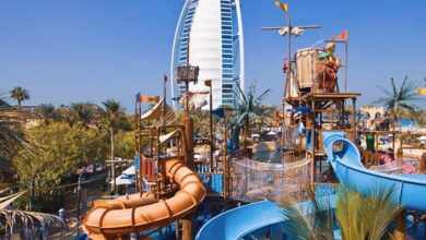 حديقة وايلد وادي