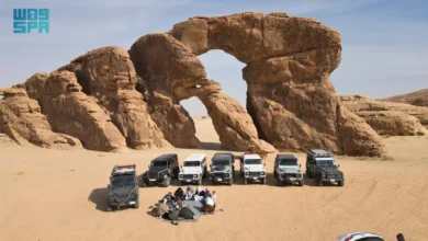 الوجهة شمال