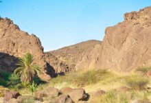 وادي مغيدد شمال غرب منطقة نجران