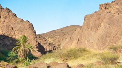 وادي مغيدد شمال غرب منطقة نجران