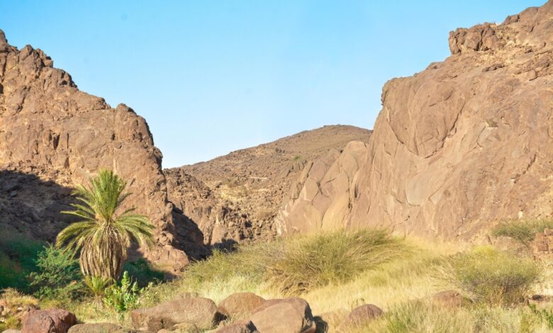 وادي مغيدد شمال غرب منطقة نجران