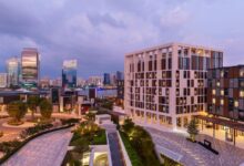 هيلتون السيف