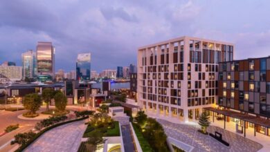 هيلتون السيف