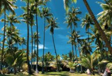 ميكرونيزيا وجهة جاذبة لعشاق الطبيعة