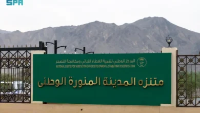 منتزه المدينة الوطني