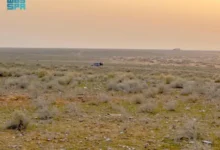 منطقة “السبعين”