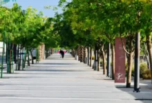 ممشى وادي العقيق