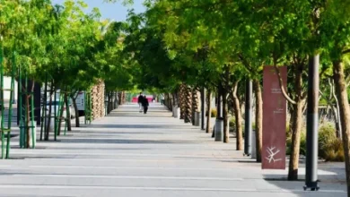 ممشى وادي العقيق