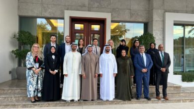 مجموعة أغورا