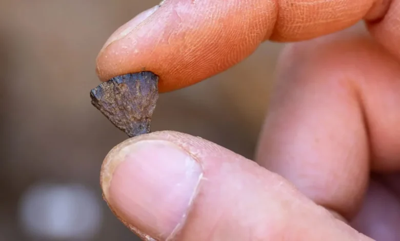 استخدام البشر الأوائل للنار بشكل متعمد