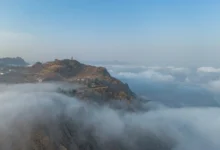 ضباب الطائف